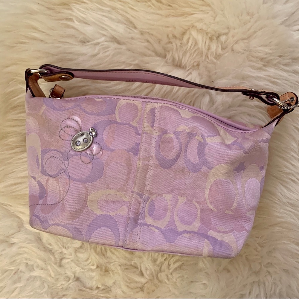 Coach Signature Tote